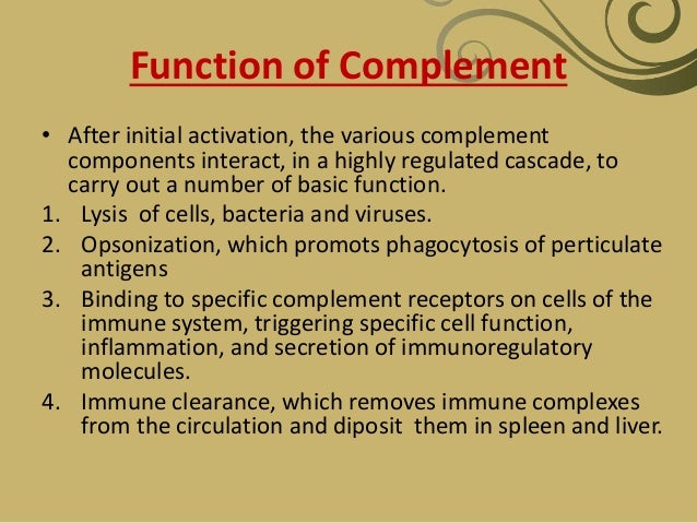 Complement system