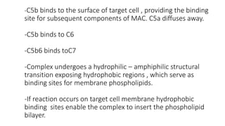 Complement system | PPTX