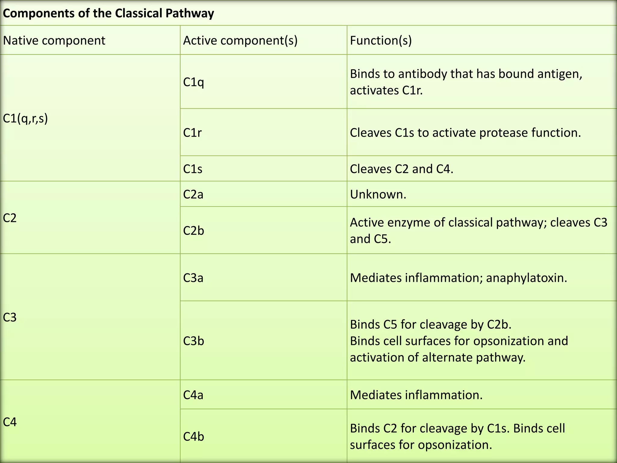 Components of the Classical Pathway
Native component Active component(s) Function(s)
C1(q,r,s)
C1q
Binds to antibody that has bound antigen,
activates C1r.
C1r Cleaves C1s to activate protease function.
C1s Cleaves C2 and C4.
C2
C2a Unknown.
C2b
Active enzyme of classical pathway; cleaves C3
and C5.
C3
C3a Mediates inflammation; anaphylatoxin.
C3b
Binds C5 for cleavage by C2b.
Binds cell surfaces for opsonization and
activation of alternate pathway.
C4
C4a Mediates inflammation.
C4b
Binds C2 for cleavage by C1s. Binds cell
surfaces for opsonization.
 