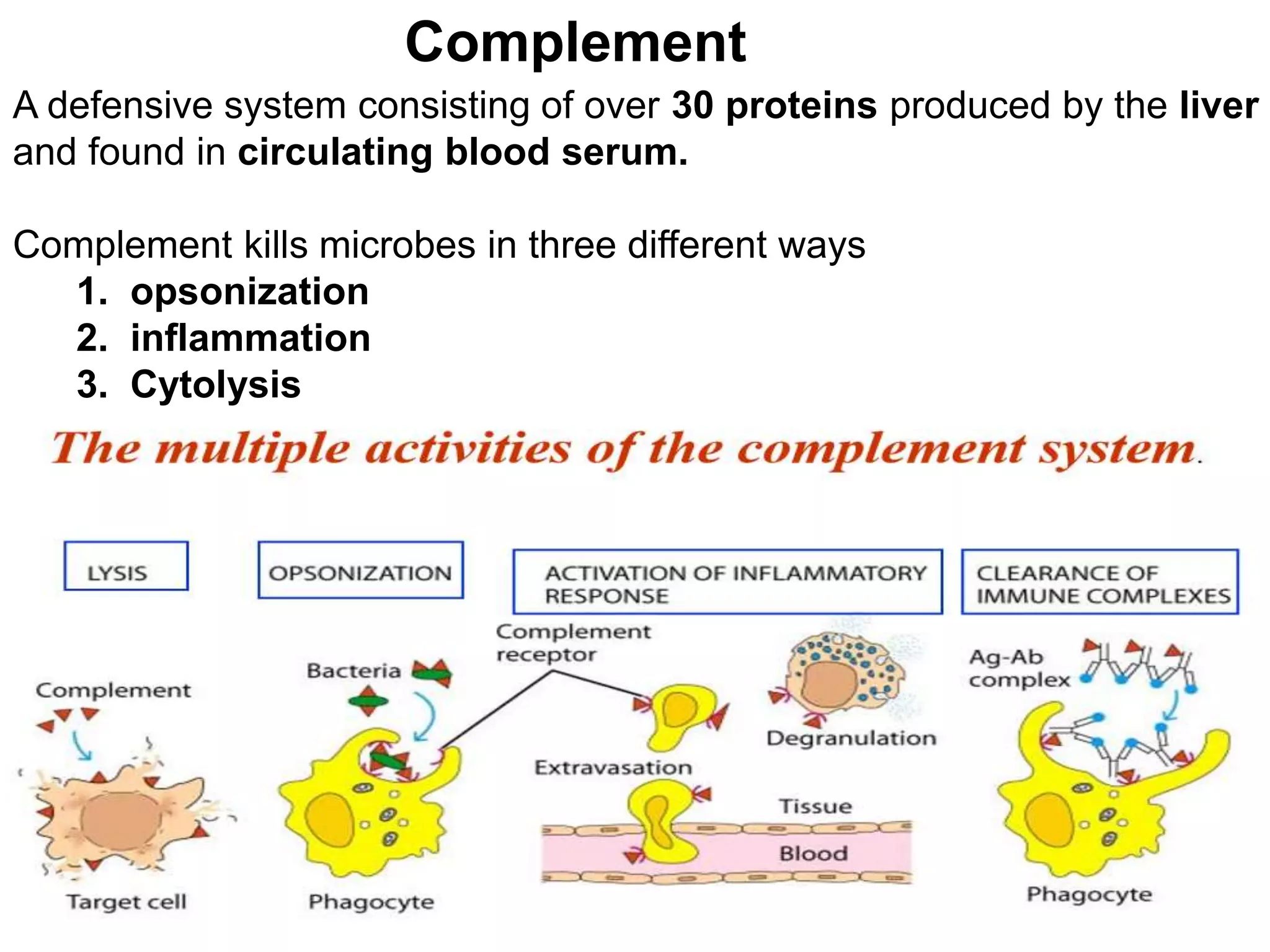A defensive system consisting of over 30 proteins produced by the liver
and found in circulating blood serum.
Complement kills microbes in three different ways
1. opsonization
2. inflammation
3. Cytolysis
Complement
 