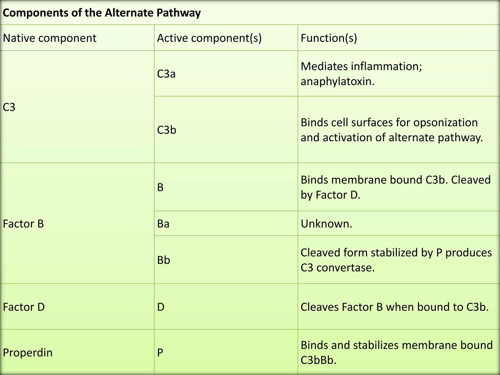 Components of the Alternate Pathway
Native component Active component(s) Function(s)
C3
C3a
Mediates inflammation;
anaphylatoxin.
C3b
Binds cell surfaces for opsonization
and activation of alternate pathway.
Factor B
B
Binds membrane bound C3b. Cleaved
by Factor D.
Ba Unknown.
Bb
Cleaved form stabilized by P produces
C3 convertase.
Factor D D Cleaves Factor B when bound to C3b.
Properdin P
Binds and stabilizes membrane bound
C3bBb.
 