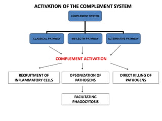 ACTIVATION OF THE COMPLEMENT SYSTEM
COMPLEMENT SYSTEM
CLASSICAL PATHWAY MB-LECTIN PATHWAY ALTERNATIVE PATHWAY
COMPLEMENT ACTIVATION
RECRUITMENT OF
INFLAMMATORY CELLS
OPSONIZATION OF
PATHOGENS
DIRECT KILLING OF
PATHOGENS
FACILITATING
PHAGOCYTOSIS
 