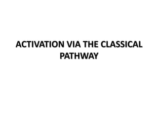 ACTIVATION VIA THE CLASSICAL
PATHWAY
 