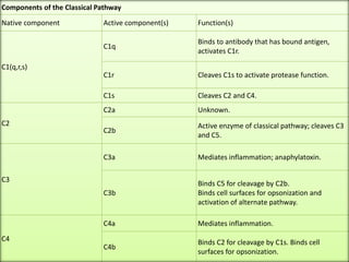 Components of the Classical Pathway
Native component Active component(s) Function(s)
C1(q,r,s)
C1q
Binds to antibody that has bound antigen,
activates C1r.
C1r Cleaves C1s to activate protease function.
C1s Cleaves C2 and C4.
C2
C2a Unknown.
C2b
Active enzyme of classical pathway; cleaves C3
and C5.
C3
C3a Mediates inflammation; anaphylatoxin.
C3b
Binds C5 for cleavage by C2b.
Binds cell surfaces for opsonization and
activation of alternate pathway.
C4
C4a Mediates inflammation.
C4b
Binds C2 for cleavage by C1s. Binds cell
surfaces for opsonization.
 