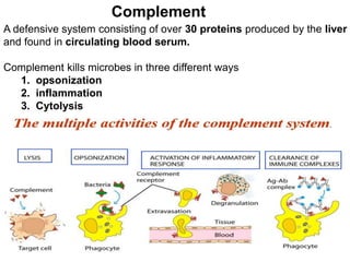 A defensive system consisting of over 30 proteins produced by the liver
and found in circulating blood serum.
Complement kills microbes in three different ways
1. opsonization
2. inflammation
3. Cytolysis
Complement
 