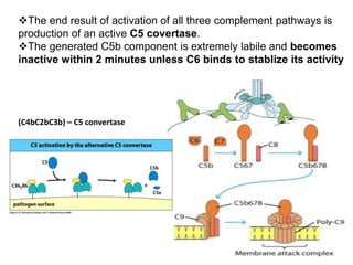 The end result of activation of all three complement pathways is
production of an active C5 covertase.
The generated C5b component is extremely labile and becomes
inactive within 2 minutes unless C6 binds to stablize its activity
(C4bC2bC3b) – C5 convertase
 