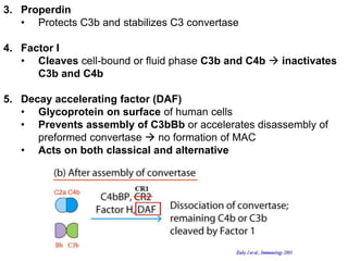 3. Properdin
• Protects C3b and stabilizes C3 convertase
4. Factor I
• Cleaves cell-bound or fluid phase C3b and C4b  inactivates
C3b and C4b
5. Decay accelerating factor (DAF)
• Glycoprotein on surface of human cells
• Prevents assembly of C3bBb or accelerates disassembly of
preformed convertase  no formation of MAC
• Acts on both classical and alternative
 