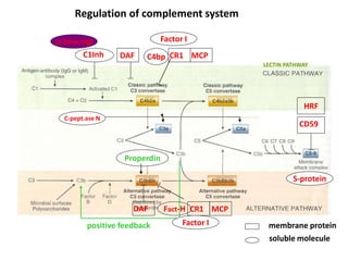 DAFC1Inh
Properdin
positive feedback
Factor I
CR1 MCPC4bp
Factor I
Fact-H CR1 MCPDAF
CD59
HRF
S-protein
a-2macrogl
LECTIN PATHWAY
Regulation of complement system
membrane protein
soluble molecule
C-pept.ase N
 