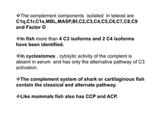 The complement components isolated in teleost are
C1q,C1r,C1s,MBL,MASP,Bf,C2,C3,C4,C5,C6,C7,C8,C9
and Factor D
In fish more than 4 C3 isoforms and 2 C4 isoforms
have been identified.
In cyclostomes , cytolytic activity of the complent is
absent in serum and has only the alternative pathway of C3
activation.
The complement system of shark or cartilaginous fish
contain the classical and alternate pathway.
Like mammals fish also has CCP and ACP.
 