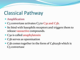 Complement system | PPTX