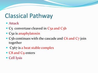 Complement system | PPTX
