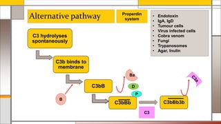 Complement system | PPTX