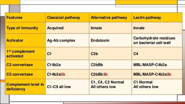 Complement system