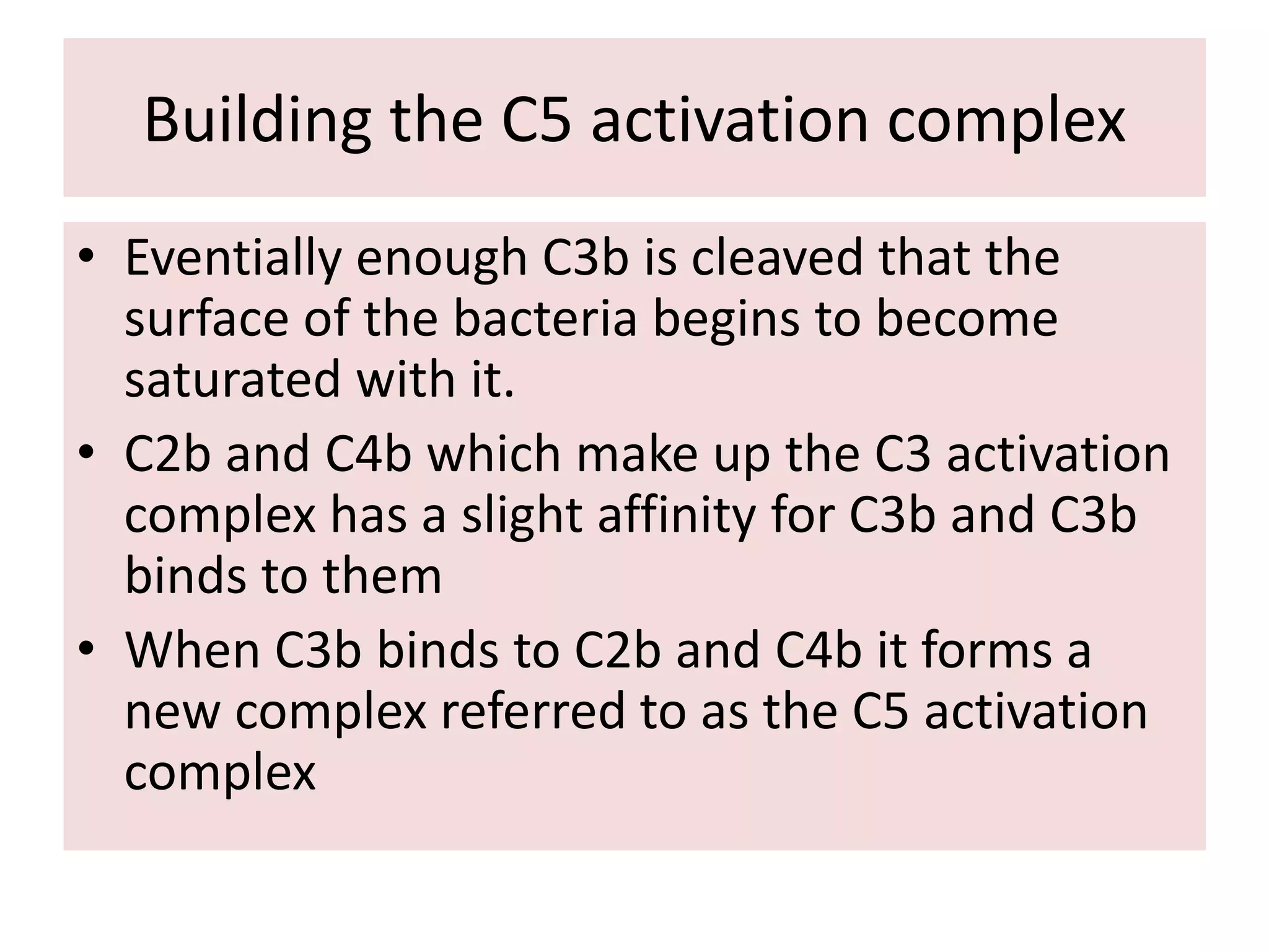 Building the C5 activation complex
• Eventially enough C3b is cleaved that the
surface of the bacteria begins to become
saturated with it.
• C2b and C4b which make up the C3 activation
complex has a slight affinity for C3b and C3b
binds to them
• When C3b binds to C2b and C4b it forms a
new complex referred to as the C5 activation
complex
 