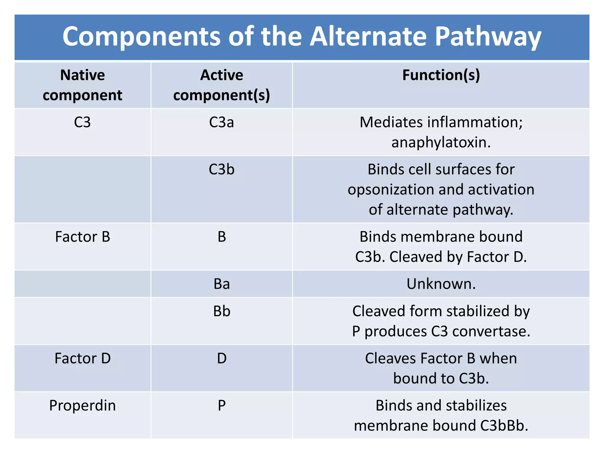Components of the Alternate Pathway
Native
component
Active
component(s)
Function(s)
C3 C3a Mediates inflammation;
anaphylatoxin.
C3b Binds cell surfaces for
opsonization and activation
of alternate pathway.
Factor B B Binds membrane bound
C3b. Cleaved by Factor D.
Ba Unknown.
Bb Cleaved form stabilized by
P produces C3 convertase.
Factor D D Cleaves Factor B when
bound to C3b.
Properdin P Binds and stabilizes
membrane bound C3bBb.
 