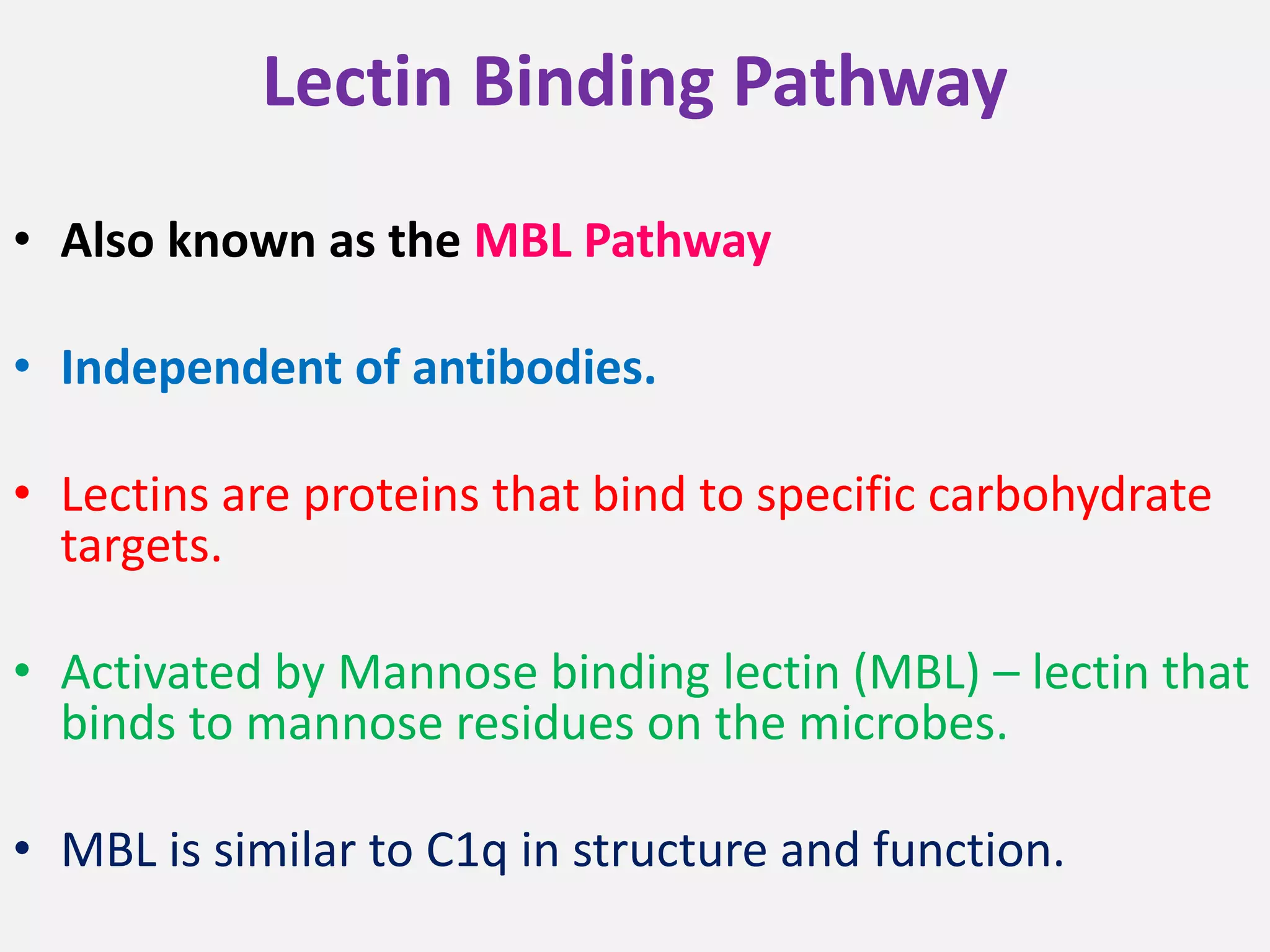 Lectin Binding Pathway
• Also known as the MBL Pathway
• Independent of antibodies.
• Lectins are proteins that bind to specific carbohydrate
targets.
• Activated by Mannose binding lectin (MBL) – lectin that
binds to mannose residues on the microbes.
• MBL is similar to C1q in structure and function.
 
