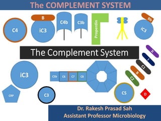 The COMPLEMENT SYSTEM
Dr. Rakesh Prasad Sah
Assistant Professor Microbiology
 