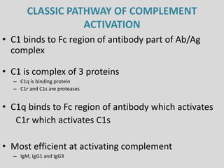 CLASSIC PATHWAY OF COMPLEMENT
ACTIVATION
• C1 binds to Fc region of antibody part of Ab/Ag
complex
• C1 is complex of 3 proteins
– C1q is binding protein
– C1r and C1s are proteases
• C1q binds to Fc region of antibody which activates
C1r which activates C1s
• Most efficient at activating complement
– IgM, IgG1 and IgG3
 