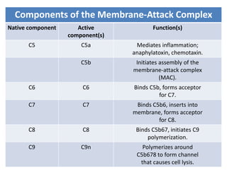 Components of the Membrane-Attack Complex
Native component Active
component(s)
Function(s)
C5 C5a Mediates inflammation;
anaphylatoxin, chemotaxin.
C5b Initiates assembly of the
membrane-attack complex
(MAC).
C6 C6 Binds C5b, forms acceptor
for C7.
C7 C7 Binds C5b6, inserts into
membrane, forms acceptor
for C8.
C8 C8 Binds C5b67, initiates C9
polymerization.
C9 C9n Polymerizes around
C5b678 to form channel
that causes cell lysis.
 