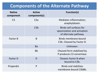 Components of the Alternate Pathway
Native
component
Active
component(s)
Function(s)
C3 C3a Mediates inflammation;
anaphylatoxin.
C3b Binds cell surfaces for
opsonization and activation
of alternate pathway.
Factor B B Binds membrane bound
C3b. Cleaved by Factor D.
Ba Unknown.
Bb Cleaved form stabilized by
P produces C3 convertase.
Factor D D Cleaves Factor B when
bound to C3b.
Properdin P Binds and stabilizes
membrane bound C3bBb.
 
