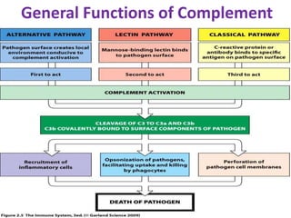 General Functions of Complement
 