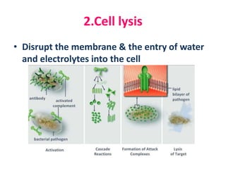 2.Cell lysis
• Disrupt the membrane & the entry of water
and electrolytes into the cell
 