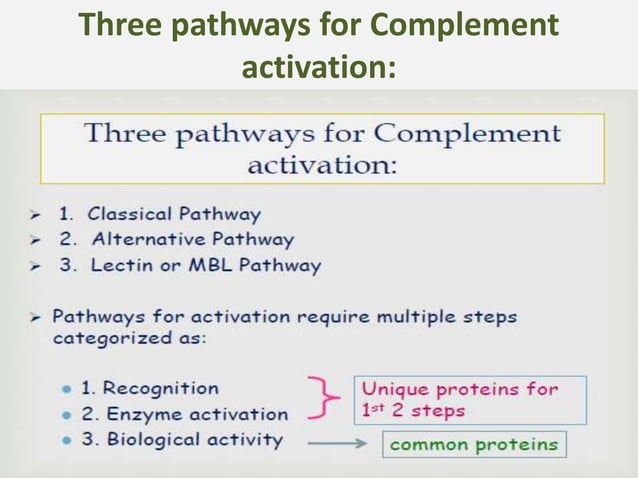 Complement system by Dr. Rakesh Prasad Sah | PPTX | Infectious Diseases ...