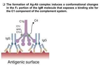 Complement system | PPTX