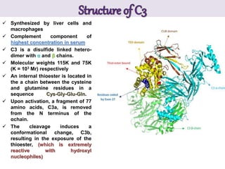 Complement system | PPTX