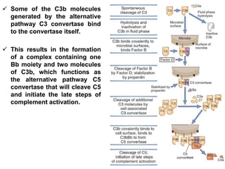 Complement system | PPTX
