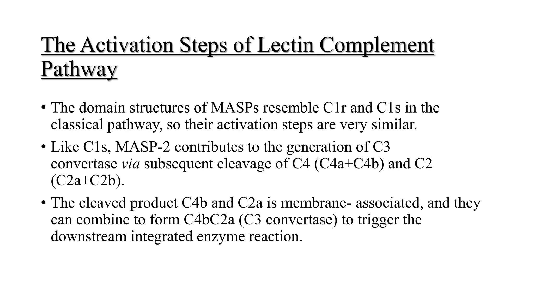 The Activation Steps of Lectin Complement
Pathway
• The domain structures of MASPs resemble C1r and C1s in the
classical pathway, so their activation steps are very similar.
• Like C1s, MASP-2 contributes to the generation of C3
convertase via subsequent cleavage of C4 (C4a+C4b) and C2
(C2a+C2b).
• The cleaved product C4b and C2a is membrane- associated, and they
can combine to form C4bC2a (C3 convertase) to trigger the
downstream integrated enzyme reaction.
 