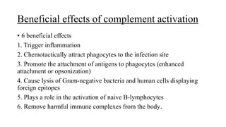 Beneficial effects of complement activation
• 6 beneficial effects
1. Trigger inflammation
2. Chemotactically attract phagocytes to the infection site
3. Promote the attachment of antigens to phagocytes (enhanced
attachment or opsonization)
4. Cause lysis of Gram-negative bacteria and human cells displaying
foreign epitopes
5. Plays a role in the activation of naive B-lymphocytes
6. Remove harmful immune complexes from the body.
 