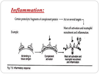Inflammation:
 