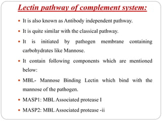 Lectin pathway of complement system:
 It is also known as Antibody independent pathway.
 It is quite similar with the classical pathway.
 It is initiated by pathogen membrane containing
carbohydrates like Mannose.
 It contain following components which are mentioned
below:
 MBL- Mannose Binding Lectin which bind with the
mannose of the pathogen.
 MASP1: MBL Associated protease I
 MASP2: MBL Associated protease -ii
 