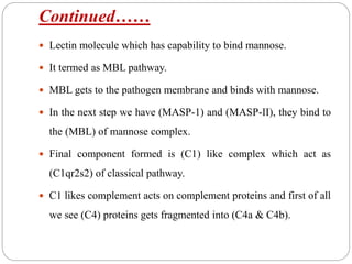 Continued……
 Lectin molecule which has capability to bind mannose.
 It termed as MBL pathway.
 MBL gets to the pathogen membrane and binds with mannose.
 In the next step we have (MASP-1) and (MASP-II), they bind to
the (MBL) of mannose complex.
 Final component formed is (C1) like complex which act as
(C1qr2s2) of classical pathway.
 C1 likes complement acts on complement proteins and first of all
we see (C4) proteins gets fragmented into (C4a & C4b).
 
