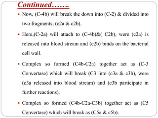 Continued…….
 Now, (C-4b) will break the down into (C-2) & divided into
two fragments; (c2a & c2b).
 Here,(C-2a) will attach to (C-4b)&( C2b), were (c2a) is
released into blood stream and (c2b) binds on the bacterial
cell wall.
 Complex so formed (C4b-C2a) together act as (C-3
Convertase) which will break (C3 into (c3a & c3b), were
(c3a released into blood stream) and (c3b participate in
further reactions).
 Complex so formed (C4b-C2a-C3b) together act as (C5
Convertase) which will break as (C5a & c5b).
 
