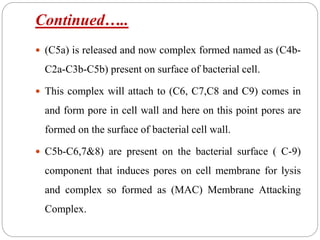 Continued…..
 (C5a) is released and now complex formed named as (C4b-
C2a-C3b-C5b) present on surface of bacterial cell.
 This complex will attach to (C6, C7,C8 and C9) comes in
and form pore in cell wall and here on this point pores are
formed on the surface of bacterial cell wall.
 C5b-C6,7&8) are present on the bacterial surface ( C-9)
component that induces pores on cell membrane for lysis
and complex so formed as (MAC) Membrane Attacking
Complex.
 
