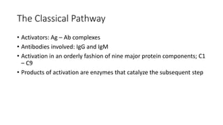 The Classical Pathway
• Activators: Ag – Ab complexes
• Antibodies involved: IgG and IgM
• Activation in an orderly fashion of nine major protein components; C1
– C9
• Products of activation are enzymes that catalyze the subsequent step
 
