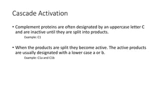 Cascade Activation
• Complement proteins are often designated by an uppercase letter C
and are inactive until they are split into products.
Example: C1
• When the products are split they become active. The active products
are usually designated with a lower case a or b.
Example: C1a and C1b
 