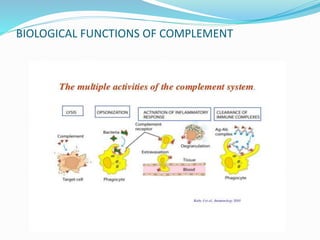COMPLEMENT SYSTEM.pptx