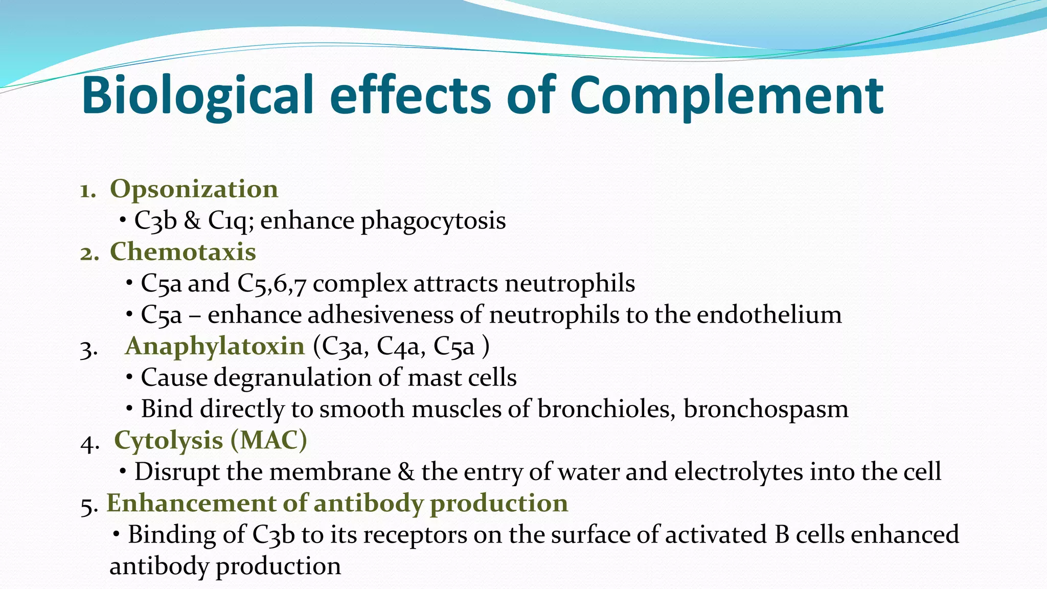 1. Opsonization
• C3b & C1q; enhance phagocytosis
2. Chemotaxis
• C5a and C5,6,7 complex attracts neutrophils
• C5a – enhance adhesiveness of neutrophils to the endothelium
3. Anaphylatoxin (C3a, C4a, C5a )
• Cause degranulation of mast cells
• Bind directly to smooth muscles of bronchioles, bronchospasm
4. Cytolysis (MAC)
• Disrupt the membrane & the entry of water and electrolytes into the cell
5. Enhancement of antibody production
• Binding of C3b to its receptors on the surface of activated B cells enhanced
antibody production
Biological effects of Complement
 