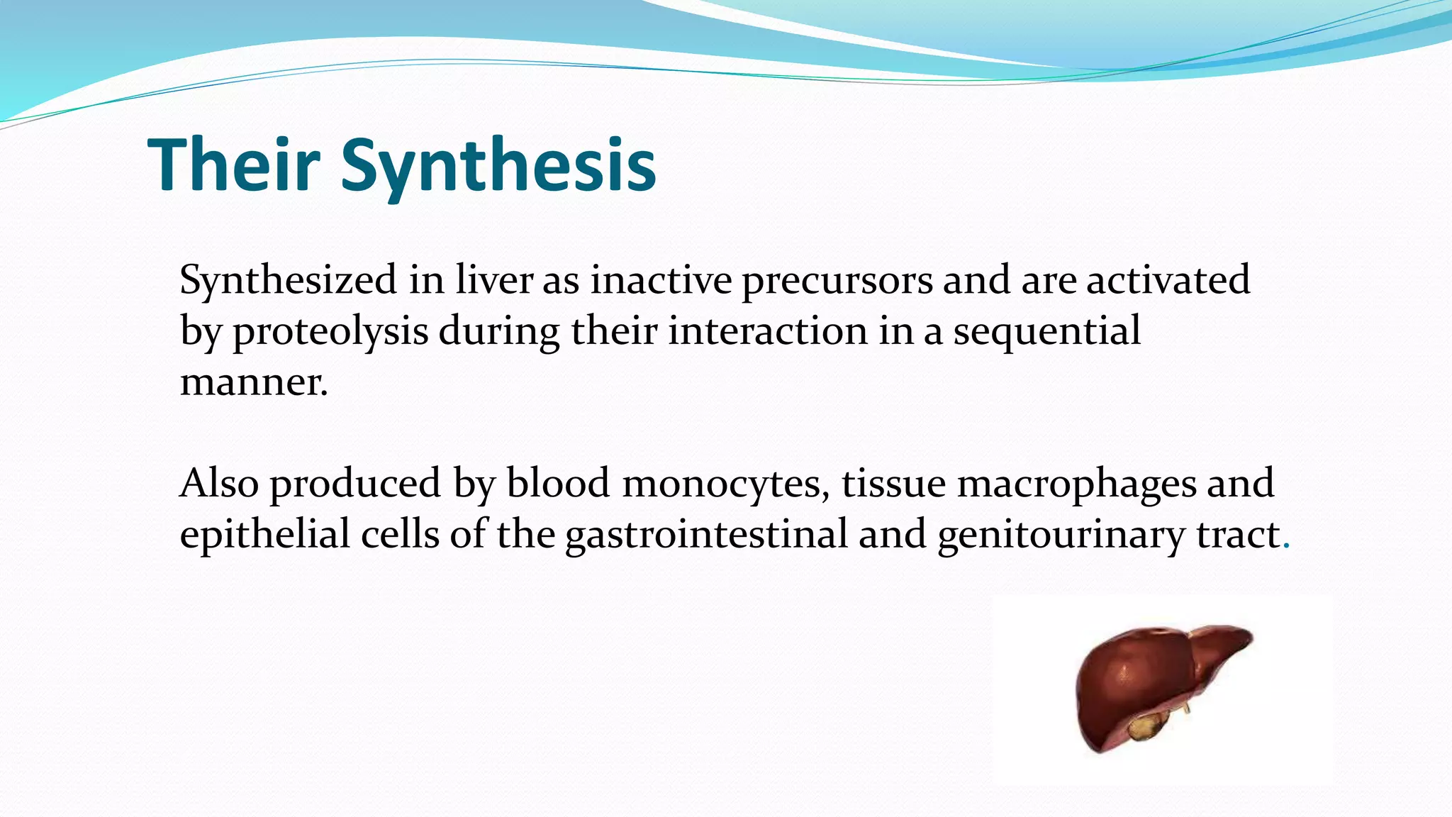 Synthesized in liver as inactive precursors and are activated
by proteolysis during their interaction in a sequential
manner.
Also produced by blood monocytes, tissue macrophages and
epithelial cells of the gastrointestinal and genitourinary tract.
Their Synthesis
 