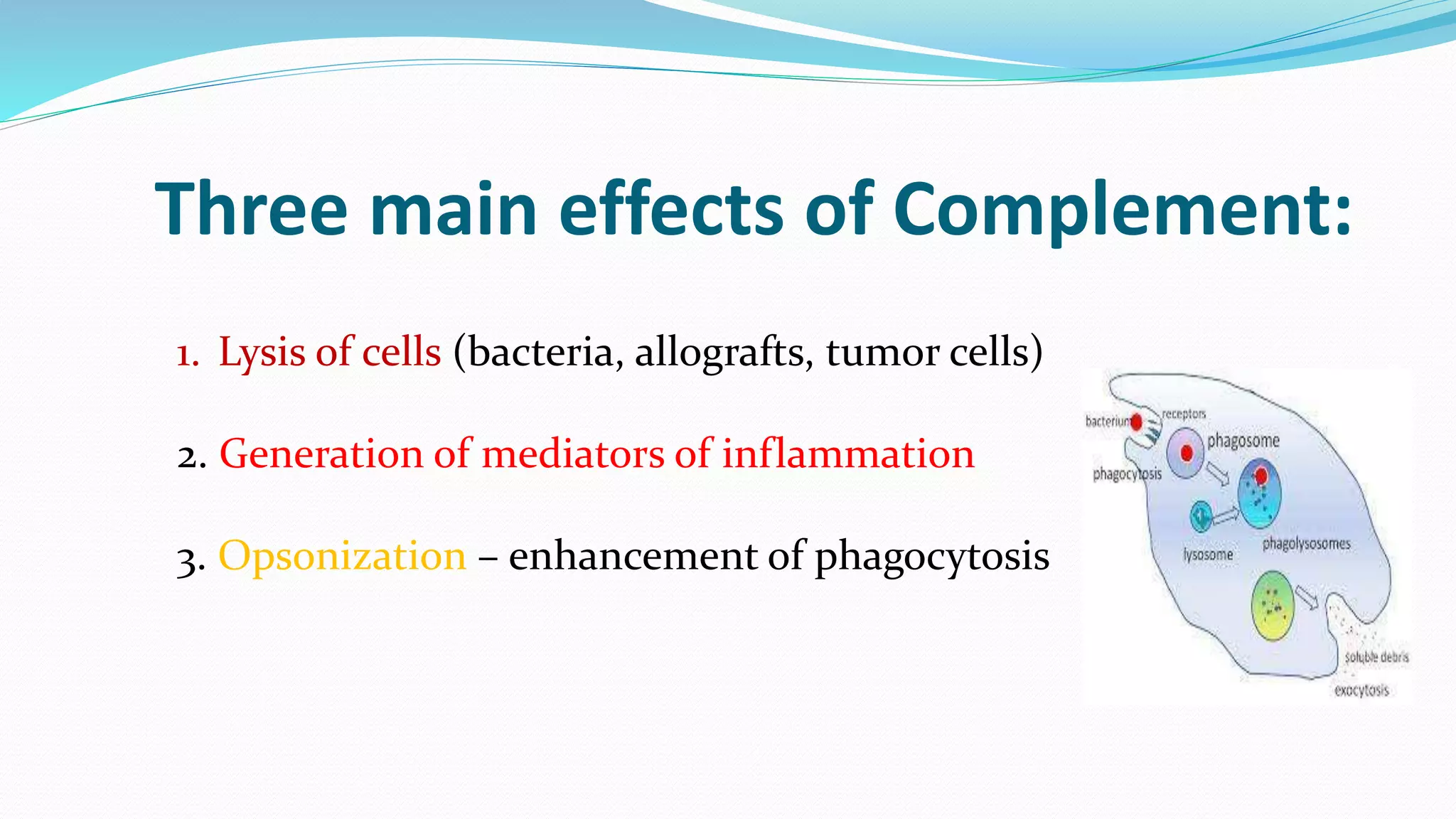 1. Lysis of cells (bacteria, allografts, tumor cells)
2. Generation of mediators of inflammation
3. Opsonization – enhancement of phagocytosis
Three main effects of Complement:
 