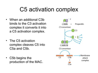Complement System-Properties and functions | PPT