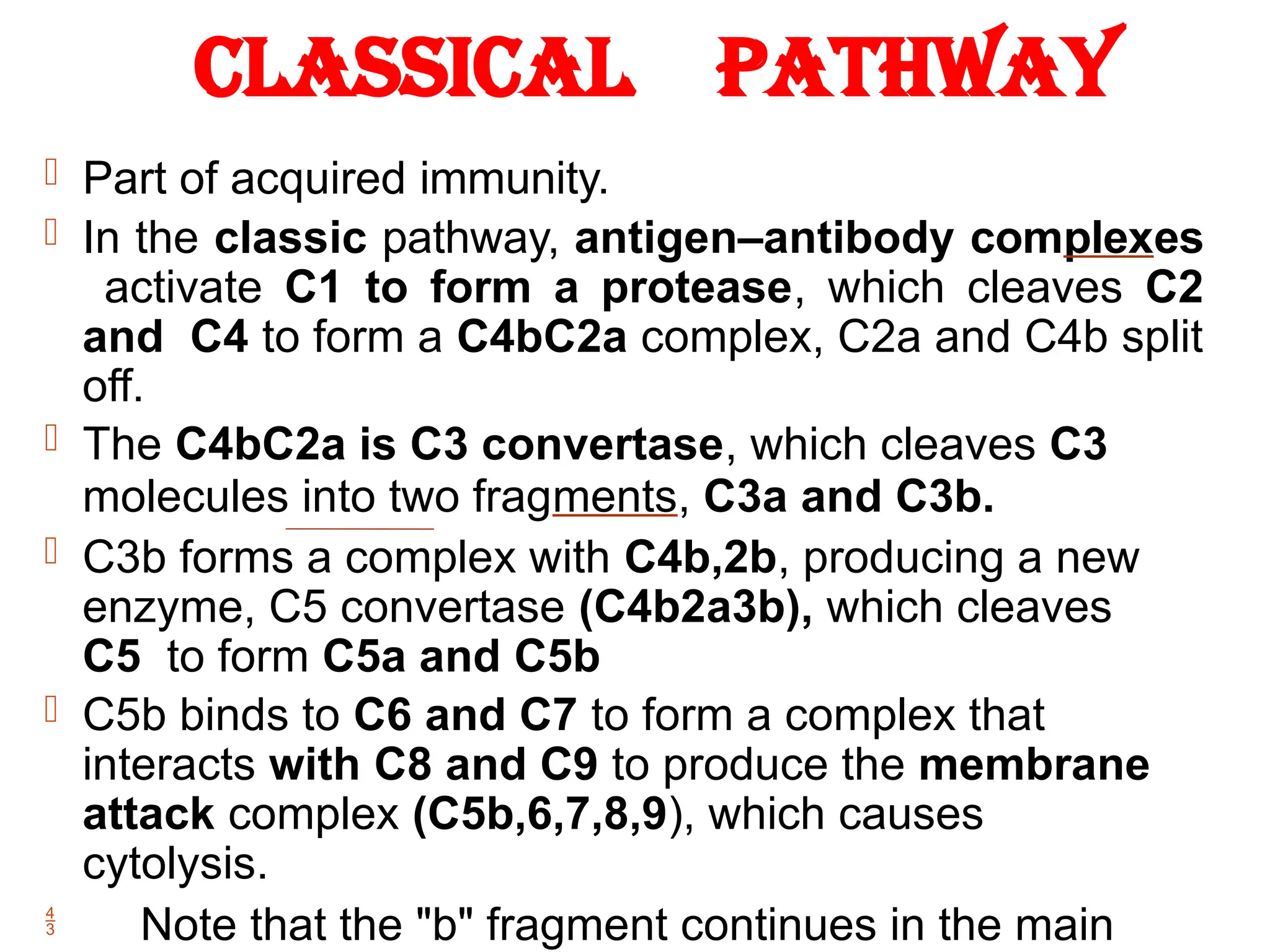  Part of acquired immunity.
 In the classic pathway, antigen–antibody complexes
activate C1 to form a protease, which cleaves C2
and C4 to form a C4bC2a complex, C2a and C4b split
off.
 The C4bC2a is C3 convertase, which cleaves C3
molecules into two fragments, C3a and C3b.
 C3b forms a complex with C4b,2b, producing a new
enzyme, C5 convertase (C4b2a3b), which cleaves
C5 to form C5a and C5b
 C5b binds to C6 and C7 to form a complex that
interacts with C8 and C9 to produce the membrane
attack complex (C5b,6,7,8,9), which causes
cytolysis.
 Note that the "b" fragment continues in the main
Classical pathway
 