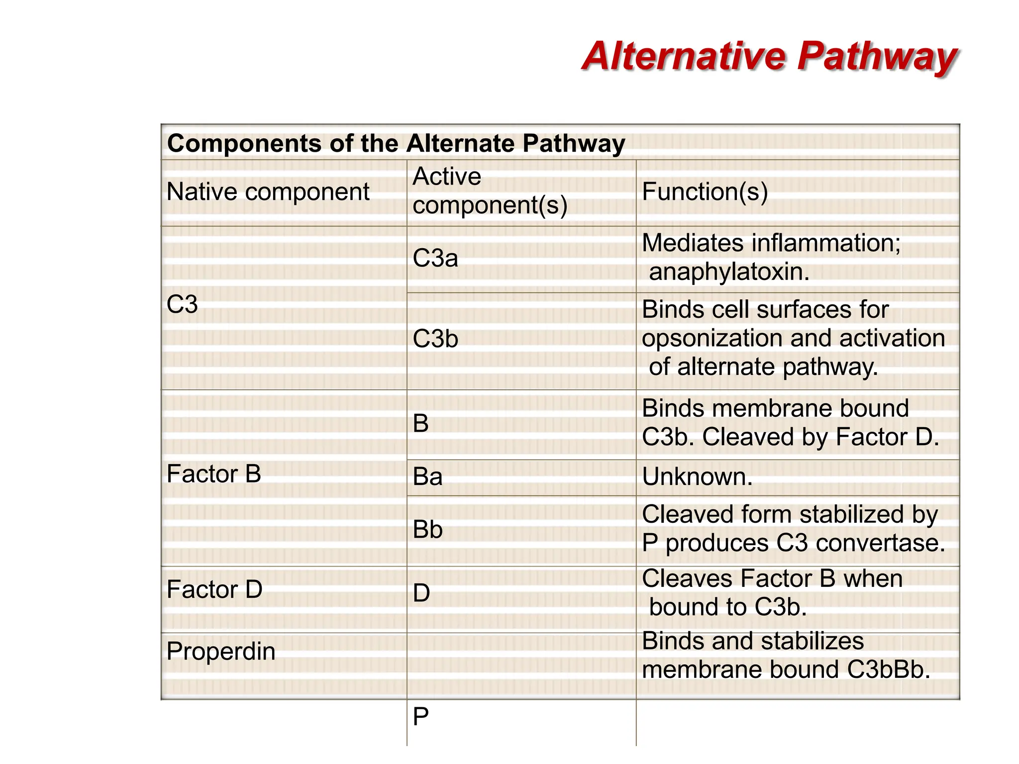 Alternative Pathway
Components of the Alternate Pathway
Native component
Active
component(s)
Function(s)
C3
C3a
Mediates inflammation;
anaphylatoxin.
C3b
Binds cell surfaces for
opsonization and activation
of alternate pathway.
Factor B
Factor D
Properdin
B
Binds membrane bound
C3b. Cleaved by Factor D.
Ba Unknown.
Bb
D
P
Cleaved form stabilized by
P produces C3 convertase.
Cleaves Factor B when
bound to C3b.
Binds and stabilizes
membrane bound C3bBb.
 