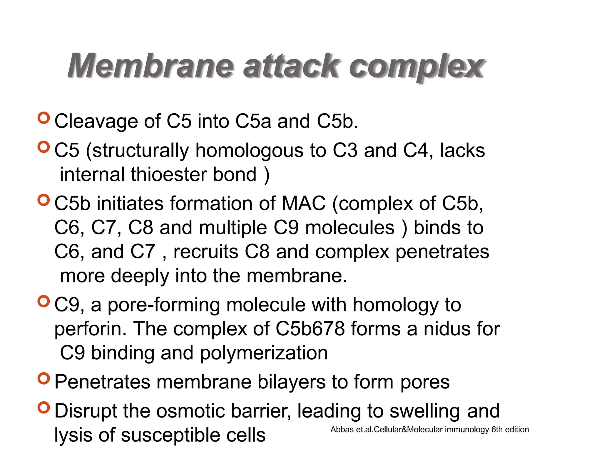 Membrane attack complex
 Cleavage of C5 into C5a and C5b.
 C5 (structurally homologous to C3 and C4, lacks
internal thioester bond )
 C5b initiates formation of MAC (complex of C5b,
C6, C7, C8 and multiple C9 molecules ) binds to
C6, and C7 , recruits C8 and complex penetrates
more deeply into the membrane.
 C9, a pore-forming molecule with homology to
perforin. The complex of C5b678 forms a nidus for
C9 binding and polymerization
 Penetrates membrane bilayers to form pores
 Disrupt the osmotic barrier, leading to swelling and
lysis of susceptible cells Abbas et.al.Cellular&Molecular immunology 6th edition
 