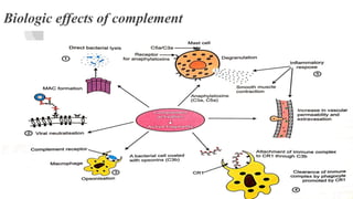 COMPLEMENT SYSTEM AND ITS CLINICAL IMPLICATIONS | PPTX