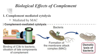 COMPLEMENT SYSTEM AND ITS CLINICAL IMPLICATIONS | PPTX