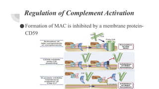 COMPLEMENT SYSTEM AND ITS CLINICAL IMPLICATIONS | PPTX